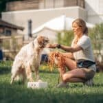 Hund og trener sammen